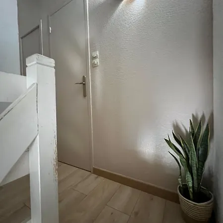 T1 Avec Jardin Appartamento *