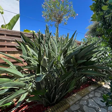 T2 Avec Jardin * Pérols