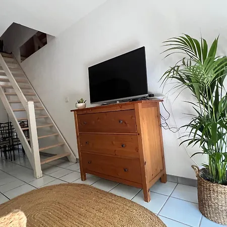 T1 Avec Jardin Pérols